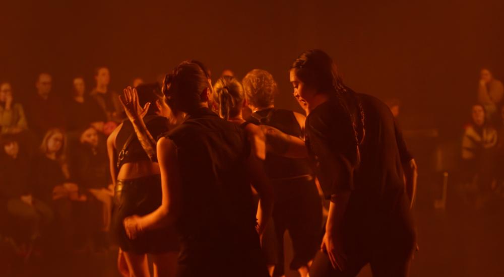 while we are here lisa vereertbrugghen