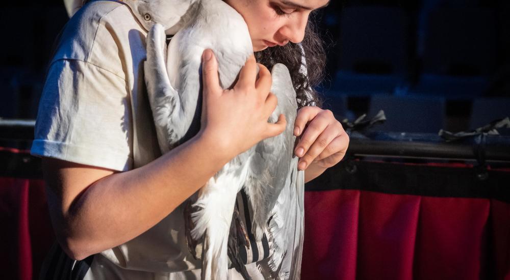 An actor holding a seagull to their chest