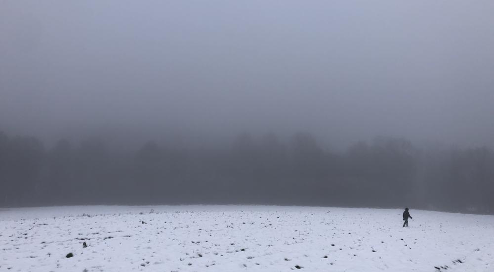 misty snow landscape