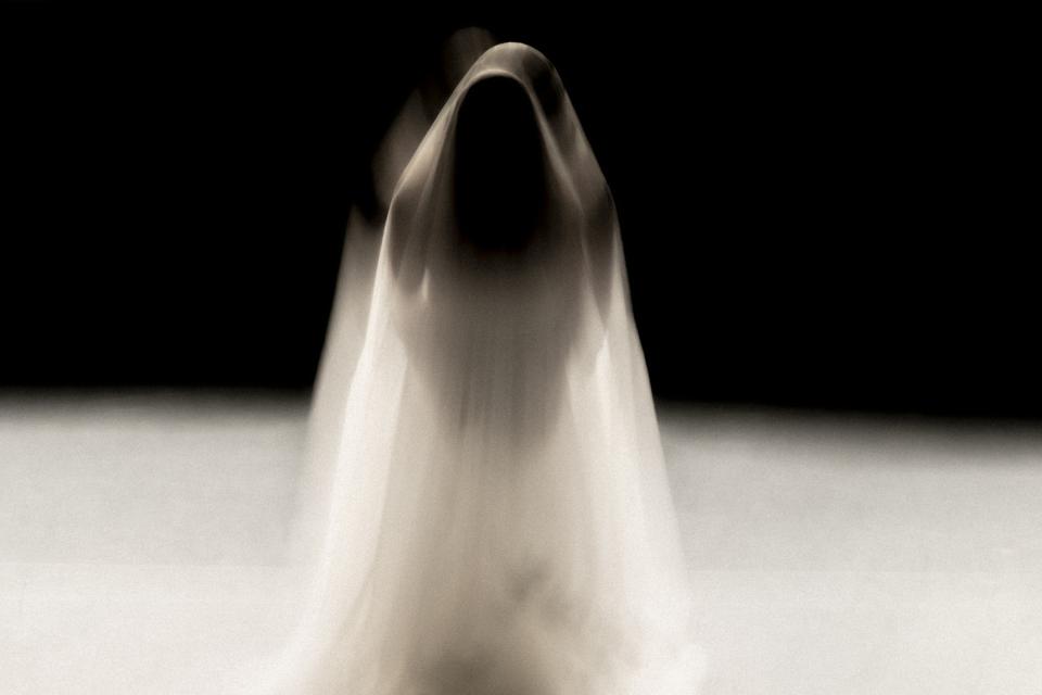 Desirée in a white dress and large veil