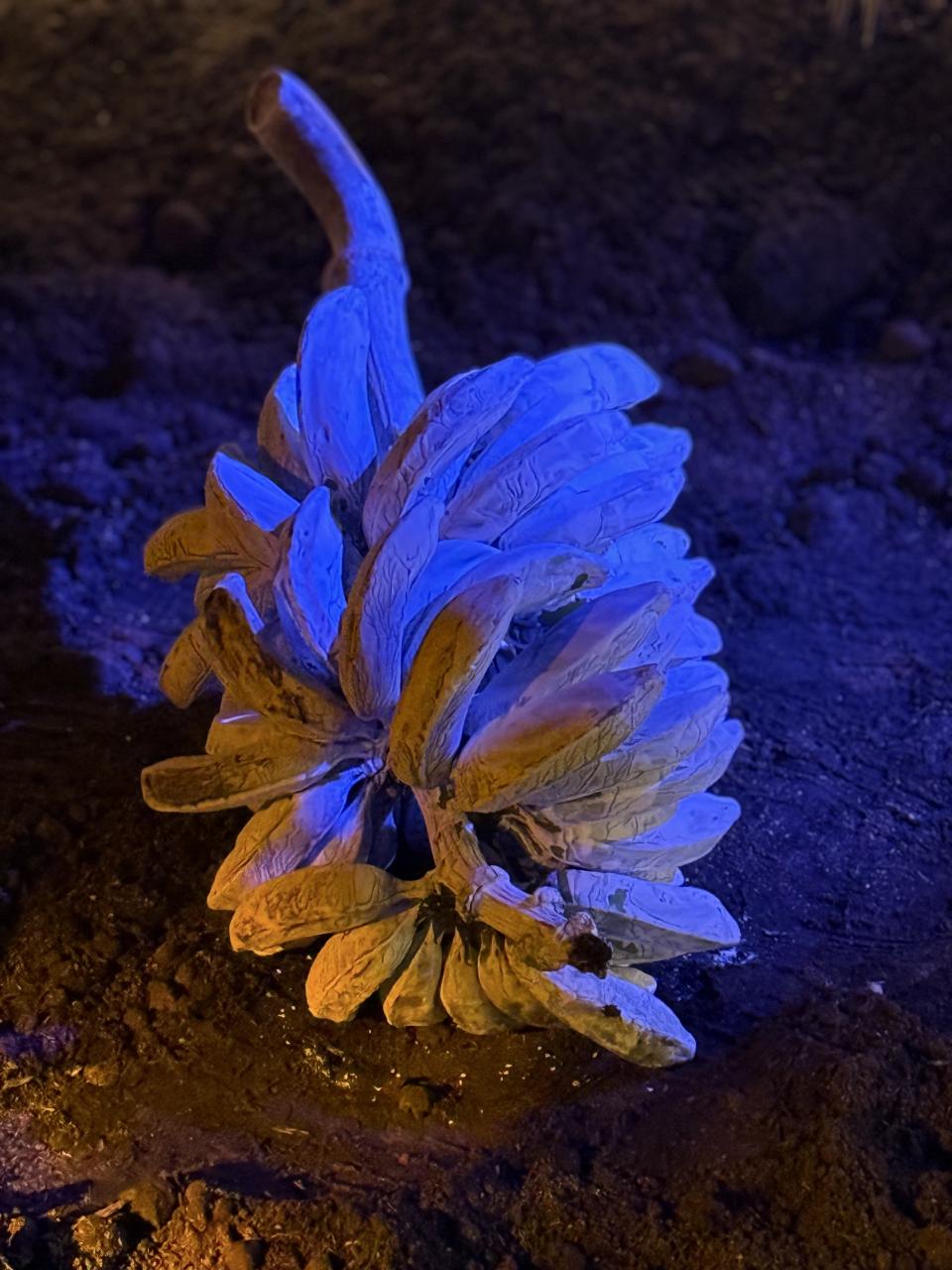 mario espinoza barrantes maxhete