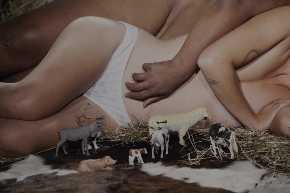 La Gouineraie  farm animals